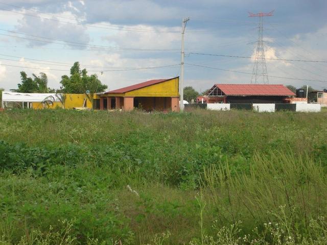 Foto de la galeria de imagenes