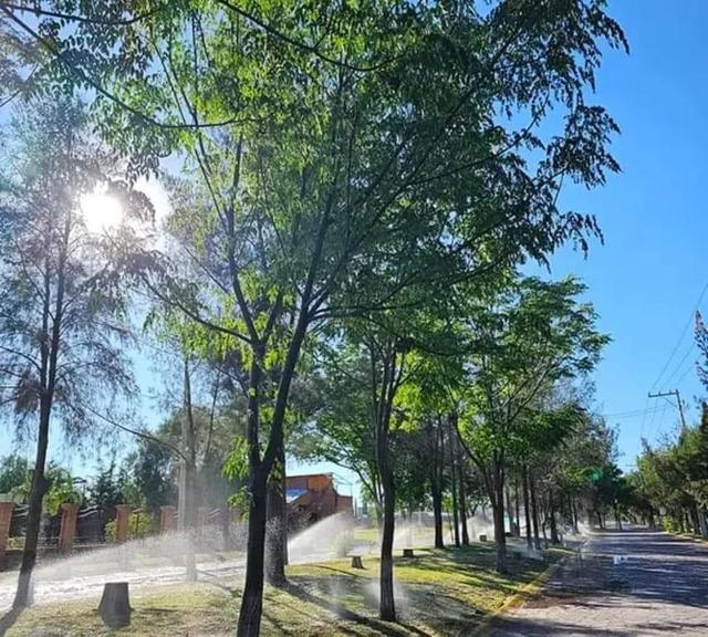 Foto de la galeria de imagenes