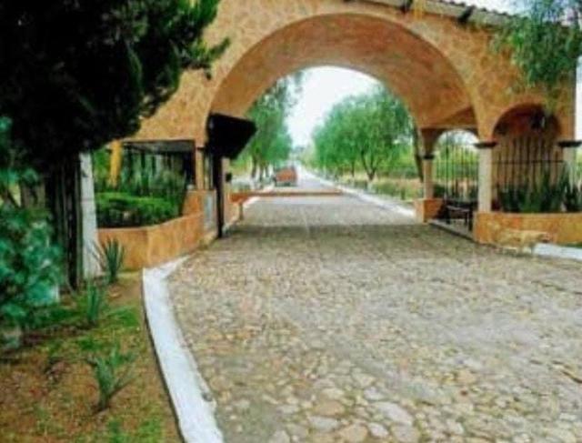 Foto de la galeria de imagenes